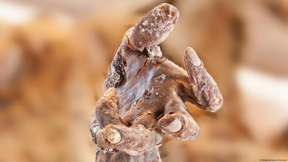 High quality photo of saltman hand